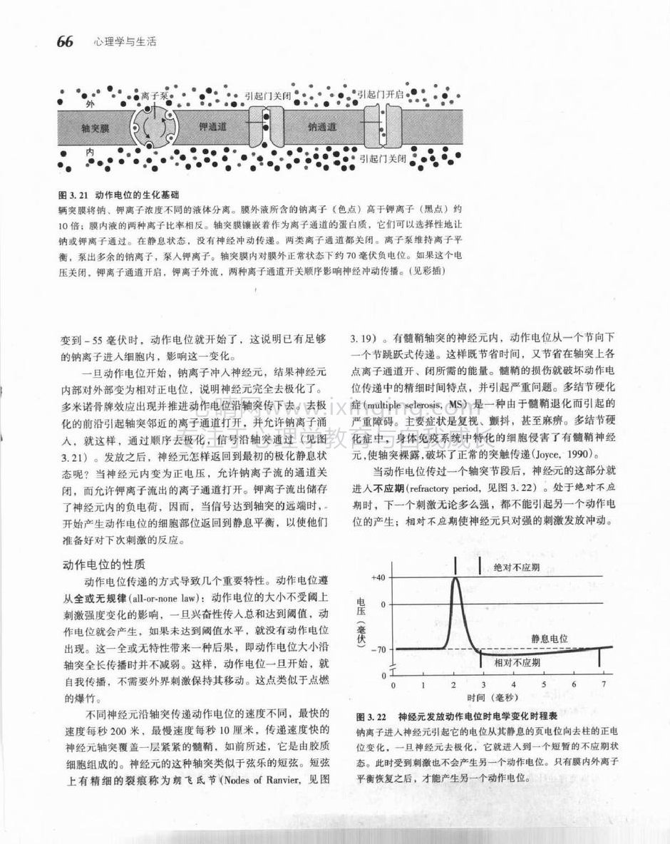 动作电位(2)