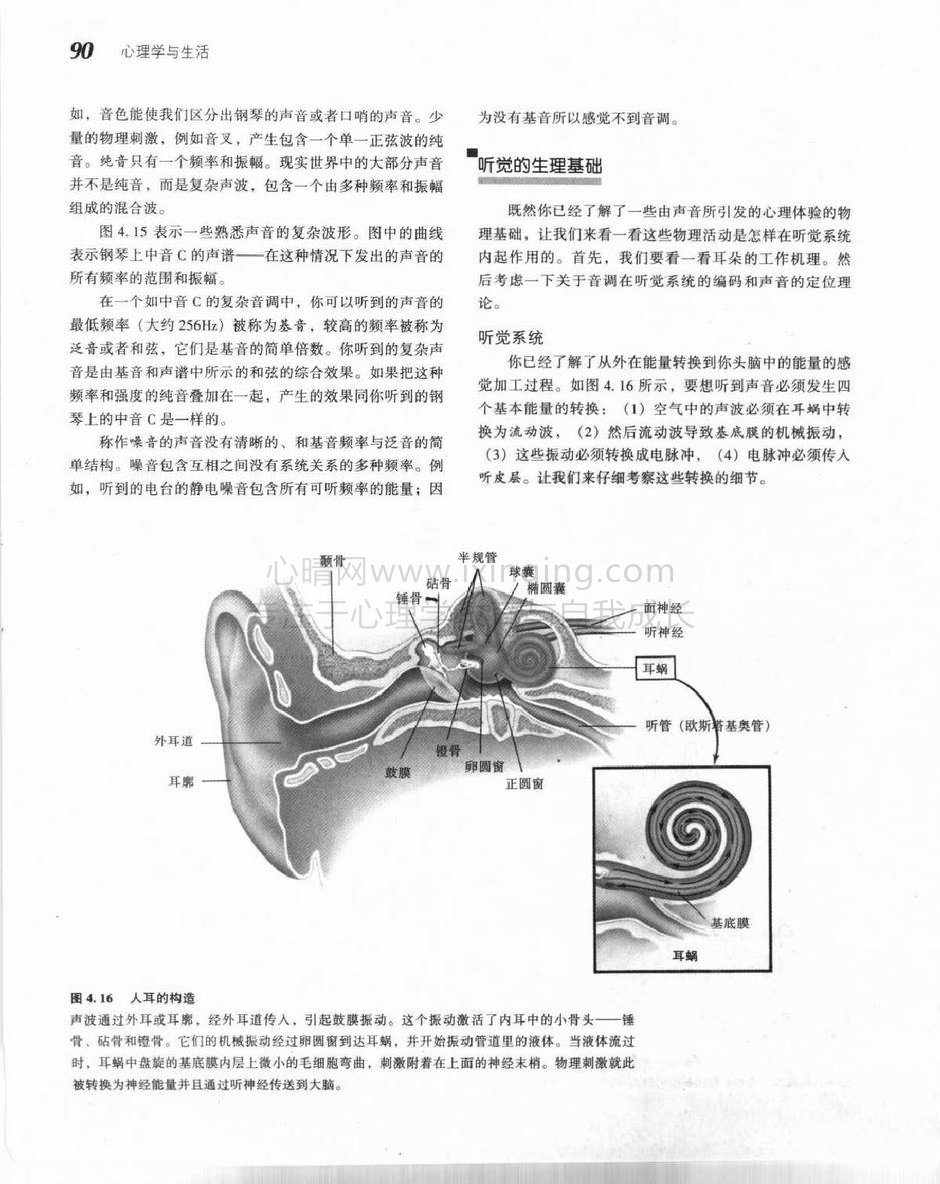 听觉的生理基础(1)