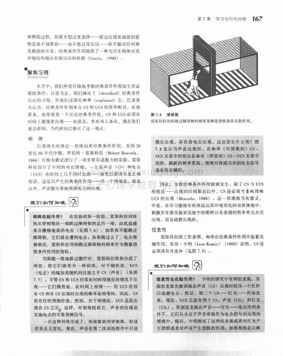 聚焦习得(1)